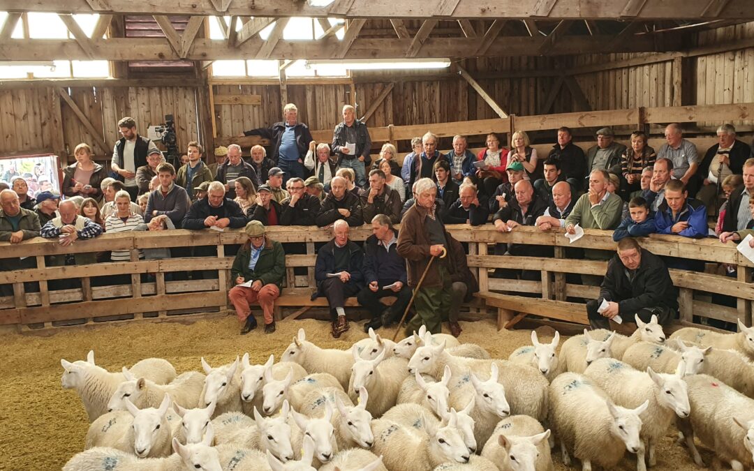 Crofting Federation calls the Brexit deal an inadequate stitch-up