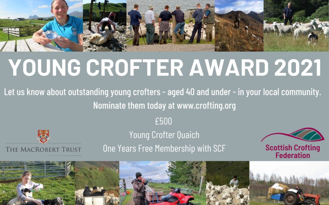 SCF Young Crofter Award 2021