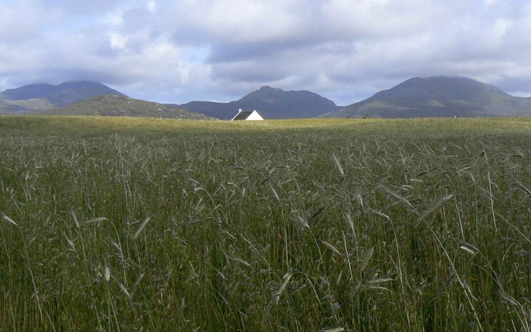 Crofting Federation joins new Scottish Government funded programme for crofter-led agricultural knowledge exchange