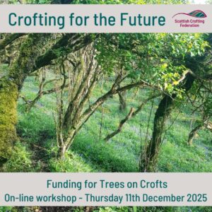 KTIF webinar 3 - Trees on crofts funding - Square