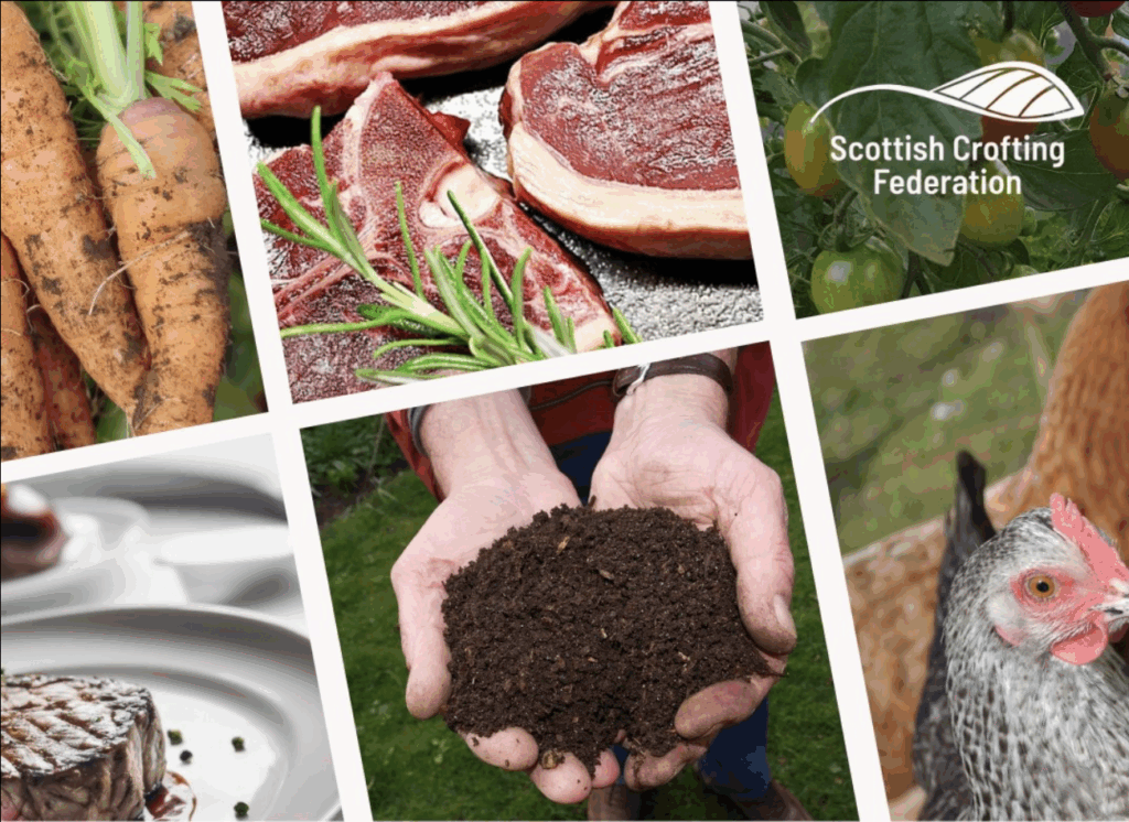 The image shows a montage of croft related food and livestock