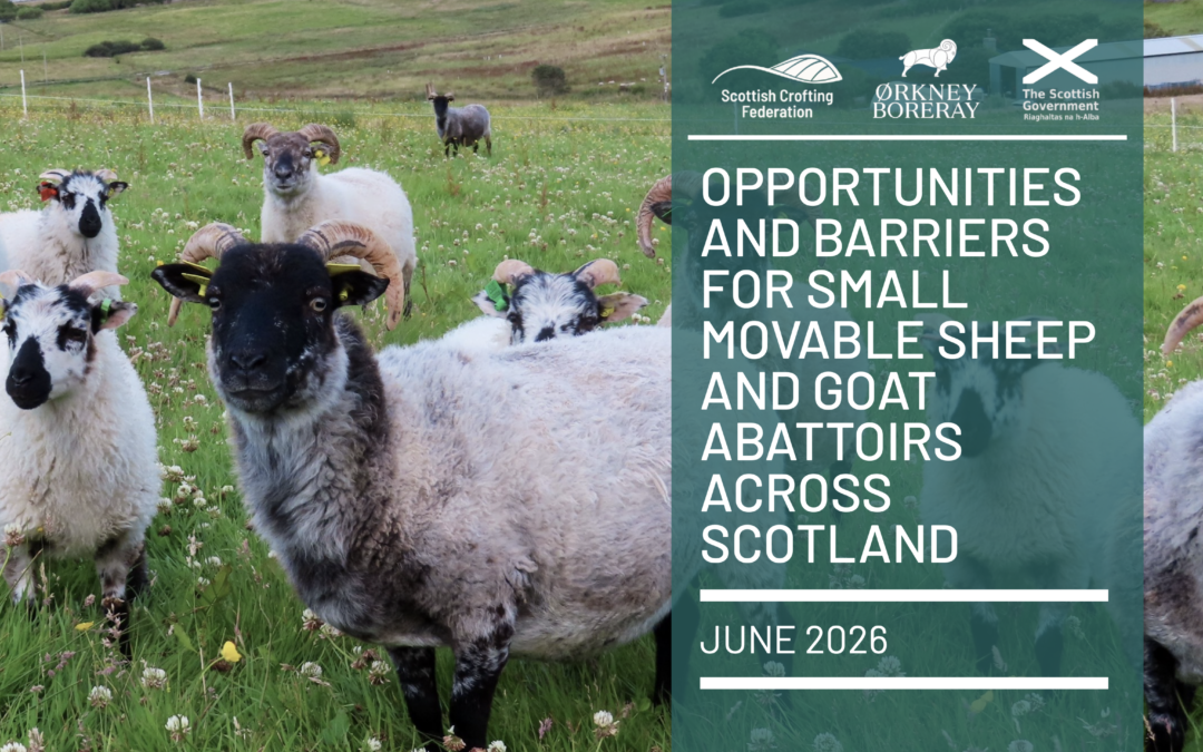 Tiny Trailer Abattoir Report Released